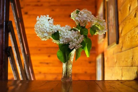 White flowers in a crystal vase in the rays of light Stock Photos