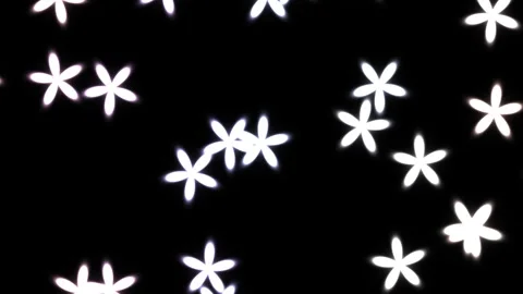 White flowers floating on black background create a simple Vídeo Stock 338232590