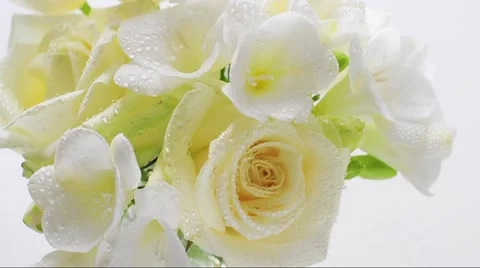 White flowers Stock Footage 48134240