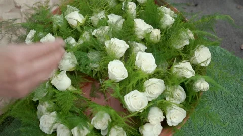 White flowers Stock Footage 169982206