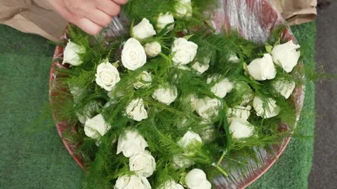 White flowers Stock Footage 169982212