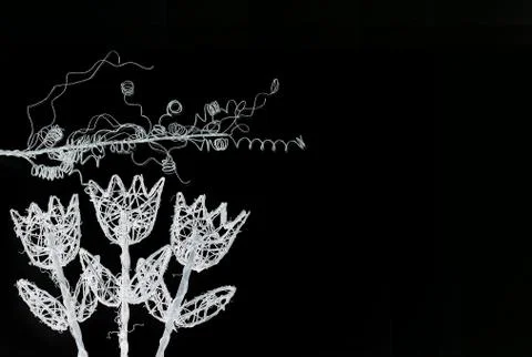 White Flowers Stock Illustration
