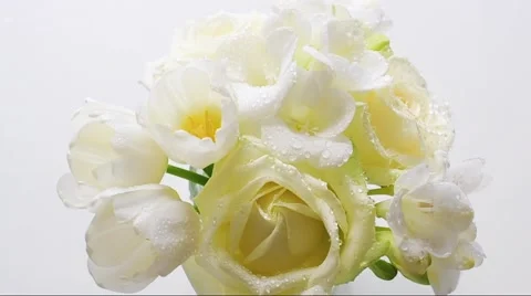 White flowers moving Stock Footage 48134582
