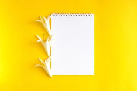 White flowers with Notepad on yellow background. Stock Photos