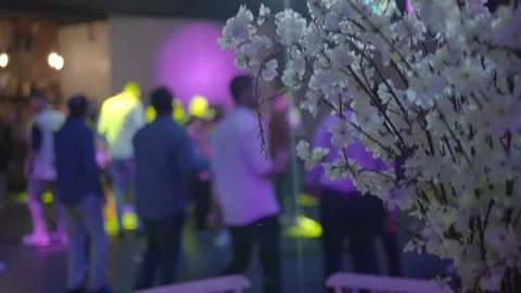 White flowers at the party Stock Footage 220449084