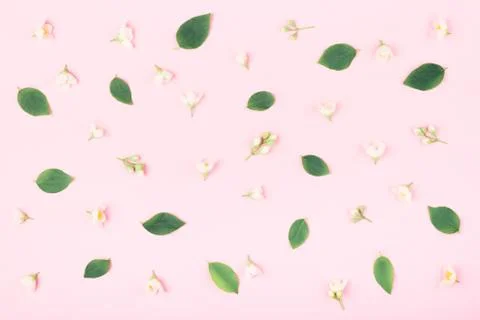 White flowers pattern on pink background. Stock Photos