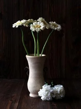 White flowers 스톡 사진
