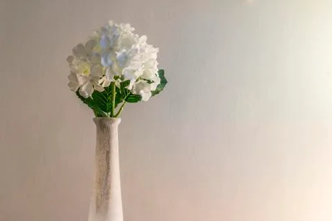 White flowers Stock Photos