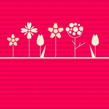 White flowers on pink background Illustrazione stock