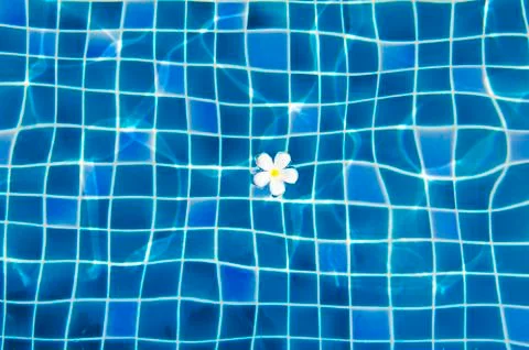 White flowers in the pool background Stock Illustration