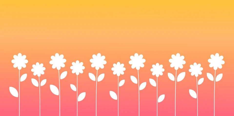 White flowers summer background. Vector illustration. Stock Illustration