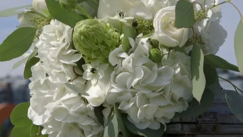 White flowers tilt down Stock Footage 81044457