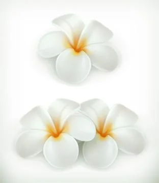 White flowers, vector icons Stock Illustration