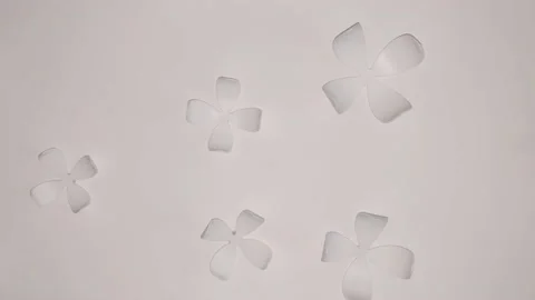 White flowers on the wall Stock Footage 205519250