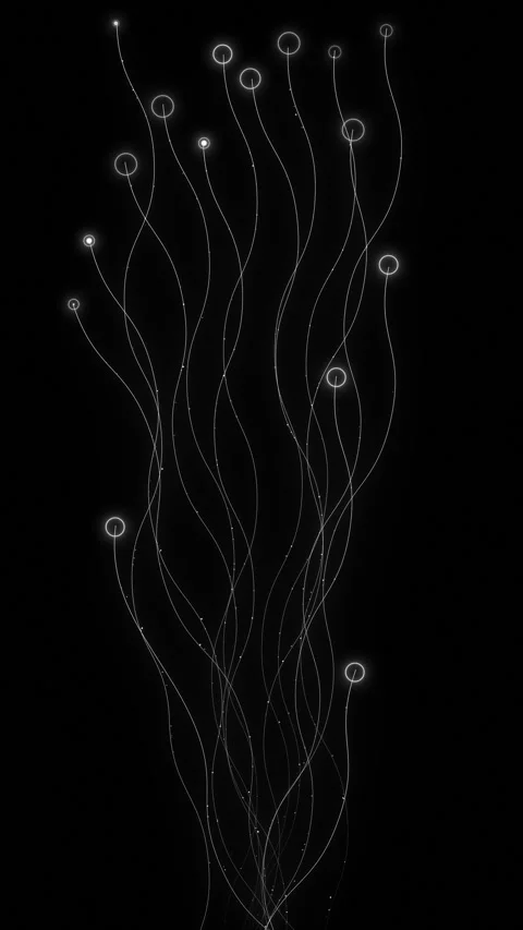 White flowing lines network black space, glowing nodes, smooth curves, abstract Stock Footage 340528283
