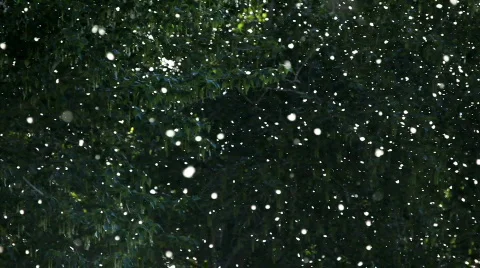 White fluff background Stock Footage 732032