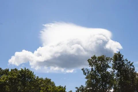 White fluffy cloud on the blue sky looking like silhouette of the flying gian Foto stock