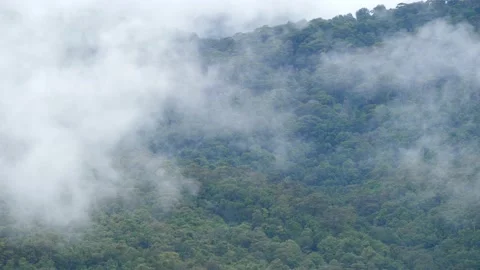 White fluffy cloud floating cover over mountain as nature background Stock Footage 239528510