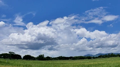 White fluffy clouds in the blue sky Stock Footage 94269324