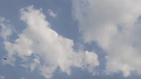 White fluffy clouds blue sky Stock Footage 333833101