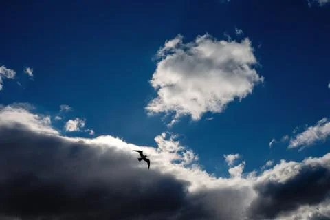 White fluffy clouds in the blue sky Stock Photos