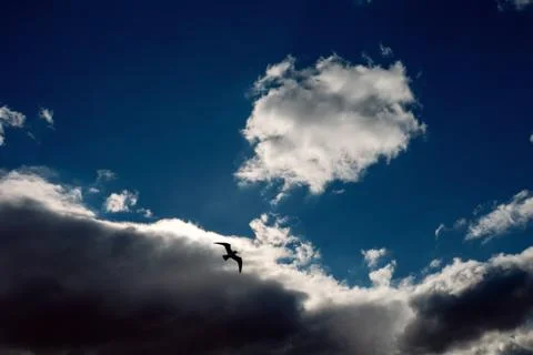 White fluffy clouds in the blue sky Stock Photos