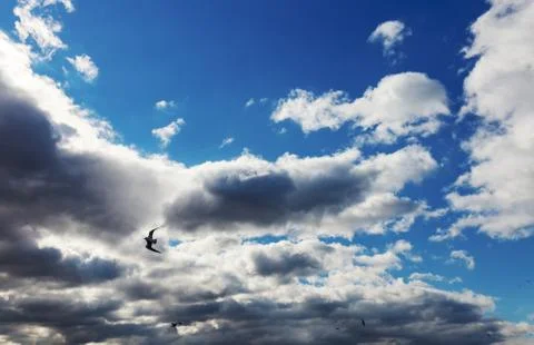 White fluffy clouds in the blue sky Stock Photos