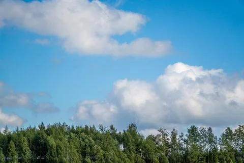 White Fluffy Clouds Over Green Forest Treetops Stock Photos