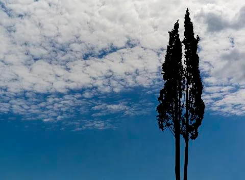 White fluffy clouds . Stock Photos