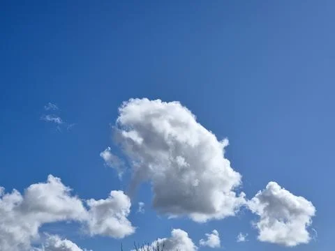 White fluffy cumulus clouds in the summer sky, natural clouds background Foto stock