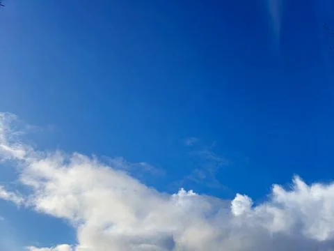 White fluffy cumulus clouds in the summer sky, natural clouds background Foto stock