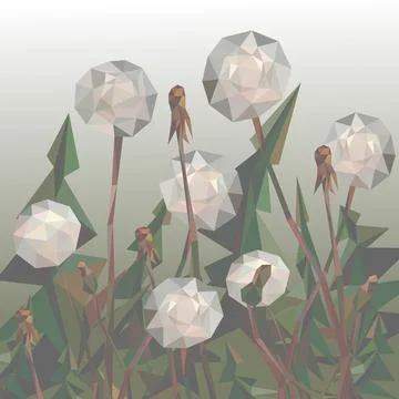 White fluffy dandelions, Stock Illustration
