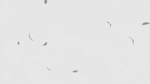 White fluffy feather blowing transition with alpha channel Stock-Footage 237362853
