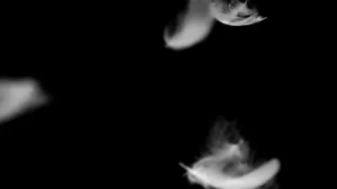 White fluffy feathers falling slow motion on black background. Vídeo Stock 339078459