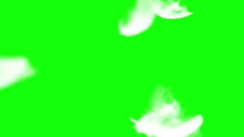 White fluffy feathers falling slow motion on green background. Vídeo Stock 339078711
