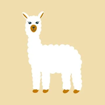 White fluffy llama isolated object. Stockillustratie