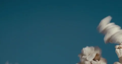 White fluffy pieces of popcorn fall at a slow pace. Stock Footage 105392936