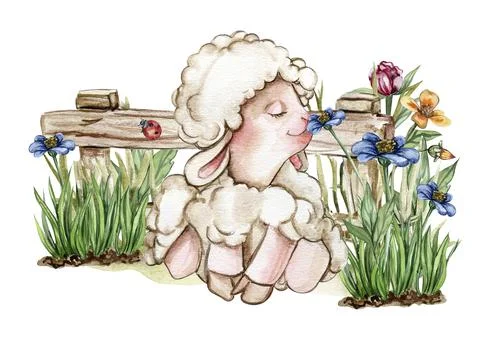 White fluffy sheep sitting in the grass with flowers and butterflies next to  Stock Illustration