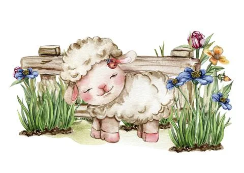 White fluffy sheep sitting in the grass with flowers and butterflies next to  Stock-Illustration