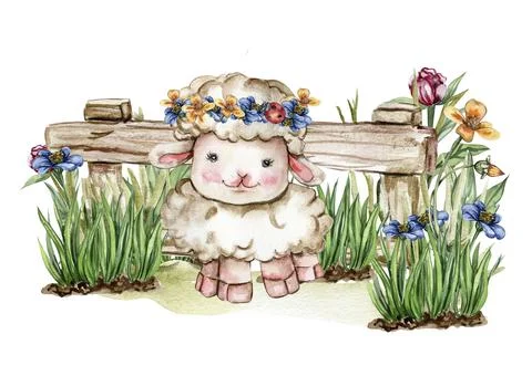 White fluffy sheep sitting in the grass with flowers and butterflies next to  Stock Illustration