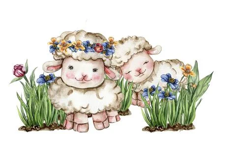 White fluffy sheeps sitting in the grass with flowers and butterflies. Waterc Stock Illustration