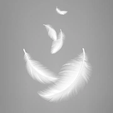 White flying realistic feathers. Bird feather composition, lightness effect of Stockillustratie