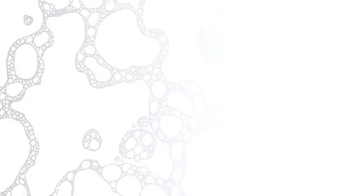 White foam bubbles frame on clean background soapy water texture pattern vector イラスト素材