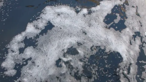 White foam floating on the river surface Stock Footage 70415852