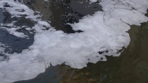 White foam floating on the river surface Stock Footage 70415999