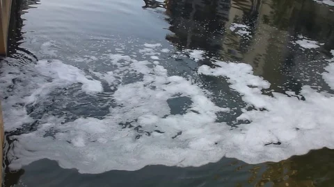 White foam floating on the river surface Stock Footage 70416829