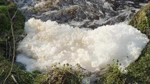 White foam in the forest river. Close-up. Stockbeeldmateriaal 197349478