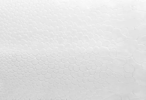 White foam. Фото