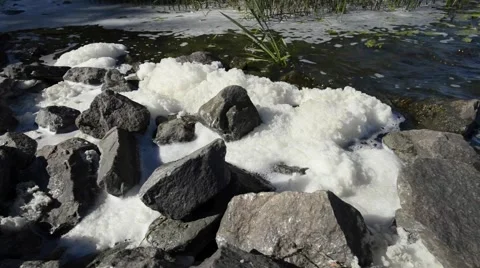 White Foam Pollution in the River Stock Footage 55371571