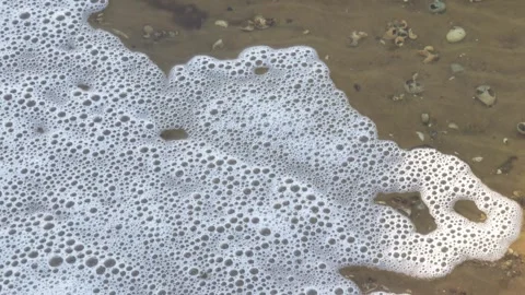 White foam on surface of river through which bottom is visible. Stock Footage 297057352